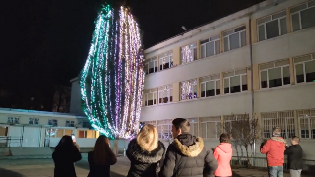 Грейна елхата в СУ "Любен Каравелов" в Аспарухово